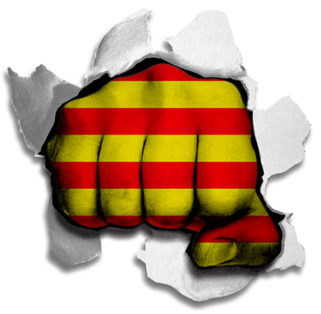 Fist Catalonia Flag Logo iron on paper